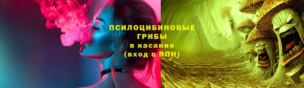 apvp Елизово