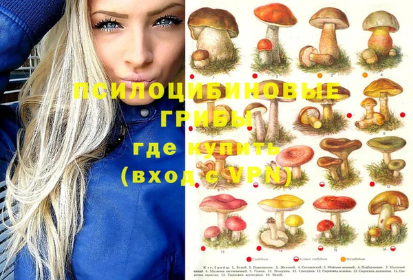 apvp Елизово