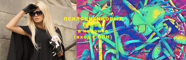apvp Елизово
