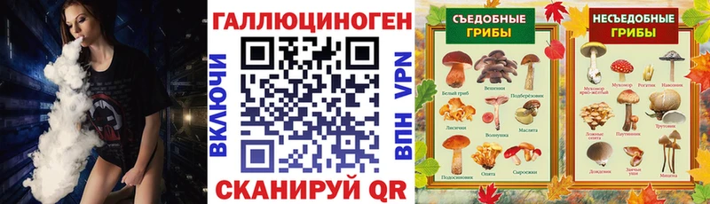 Купить закладки  Ветлуга  Галлюциногенные грибы Psilocybine cubensis 